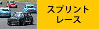 スプリントレース
